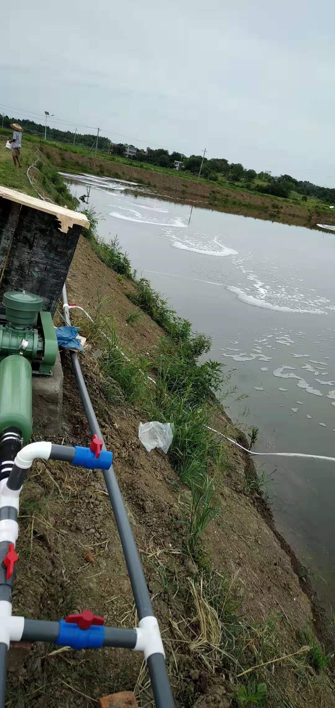 Anaerobic/aerobic operation for nitrogen and phosphorus removal
