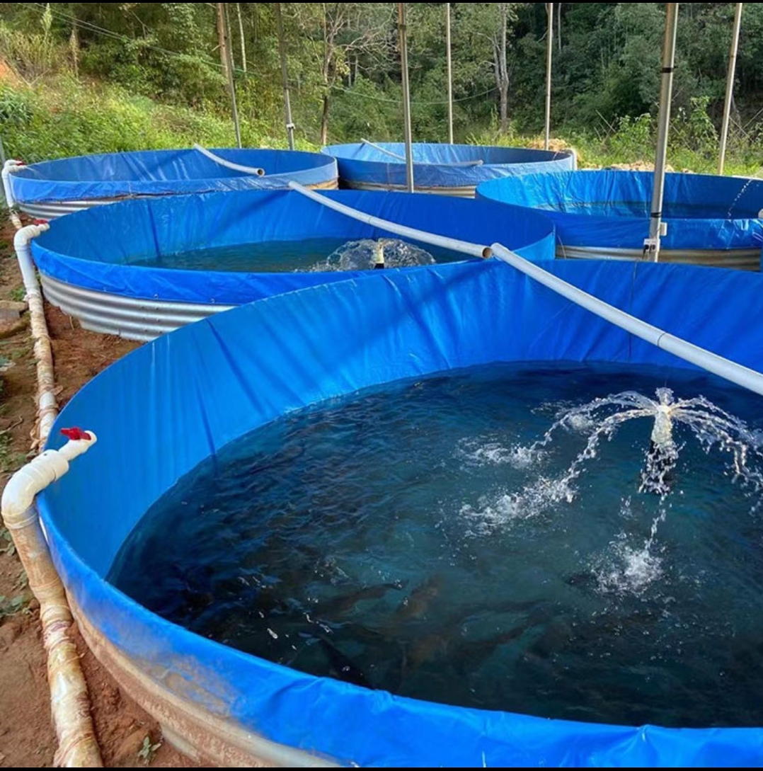 Canvas Fish Pond Farming: Suggestions and Precautions