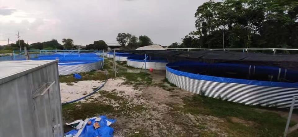 Galvanized canvas fish ponds in the modern factory-farming mode
