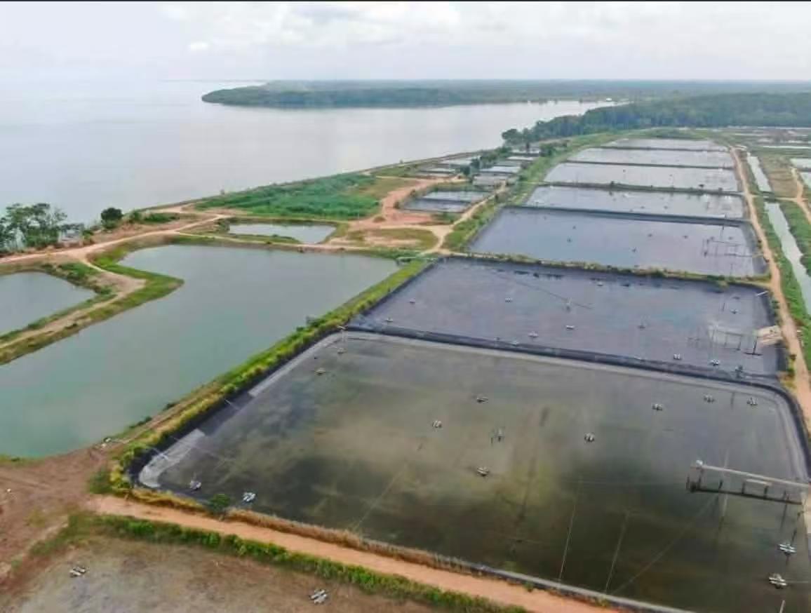 Nano-Tube Microporous Aeration in River Crab Farming