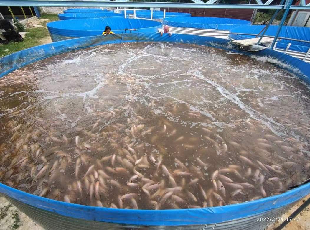Dissolved oxygen management in aquaculture