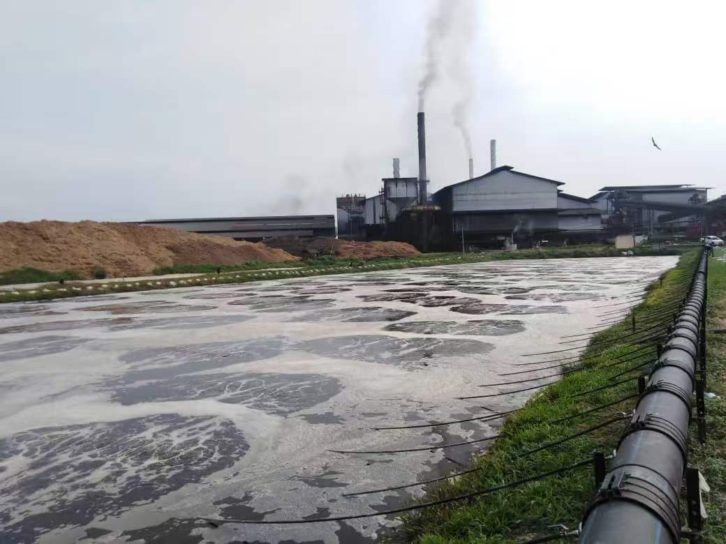 Dissolved Oxygen Management in Shrimp Farming: A Practical Guide