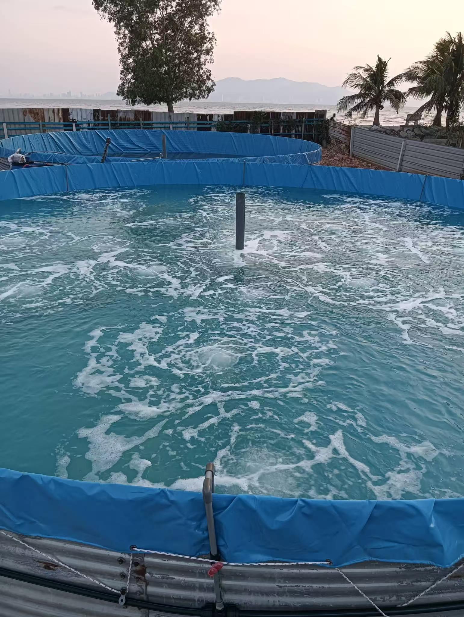 Efficient Pond Aeration: It's a Technical Job