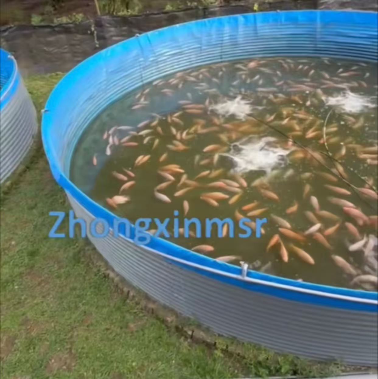 Dissolved Oxygen in Fish Ponds: What Levels Are Too High or Too Low?