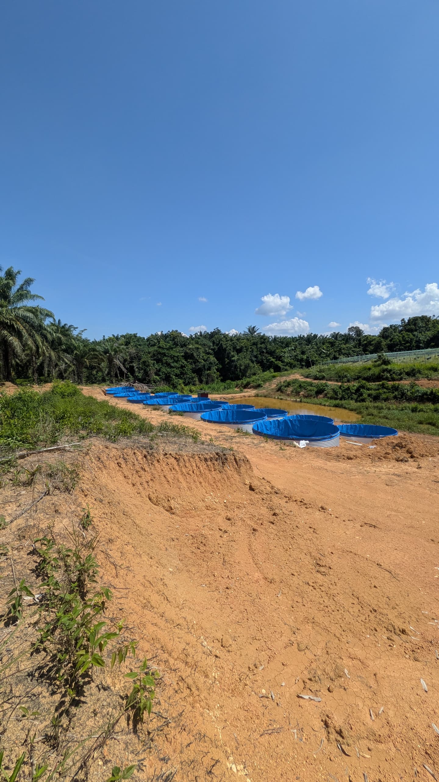 Galvanized Canvas Fish Pond: High-Density Farming Setup Guide