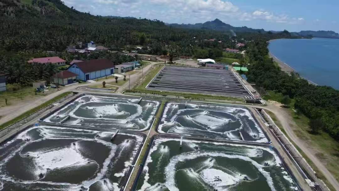 The role of microorganisms in aquaculture environmental remediation