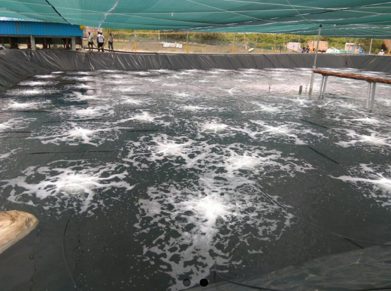 Microporous Aeration Technology: Promotion Results Are Significant