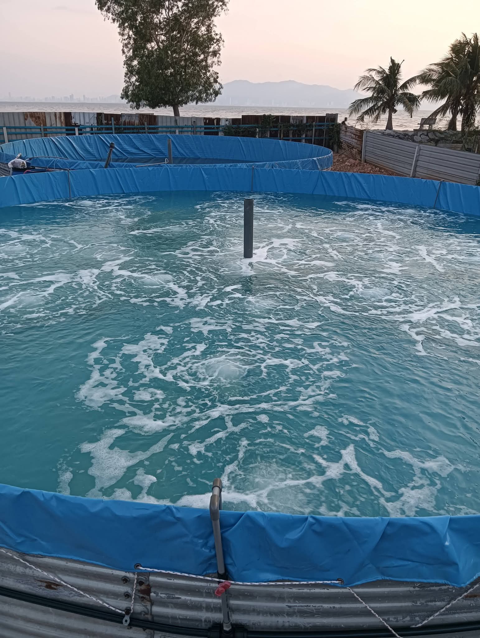Modern factory aquaculture — advantages of the galvanized canvas pool