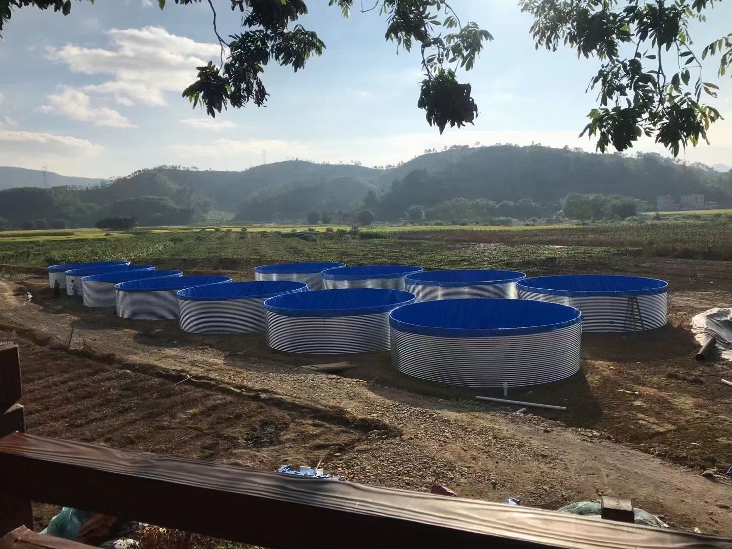 A new aquaculture mode — the galvanized sheet PVC canvas pool