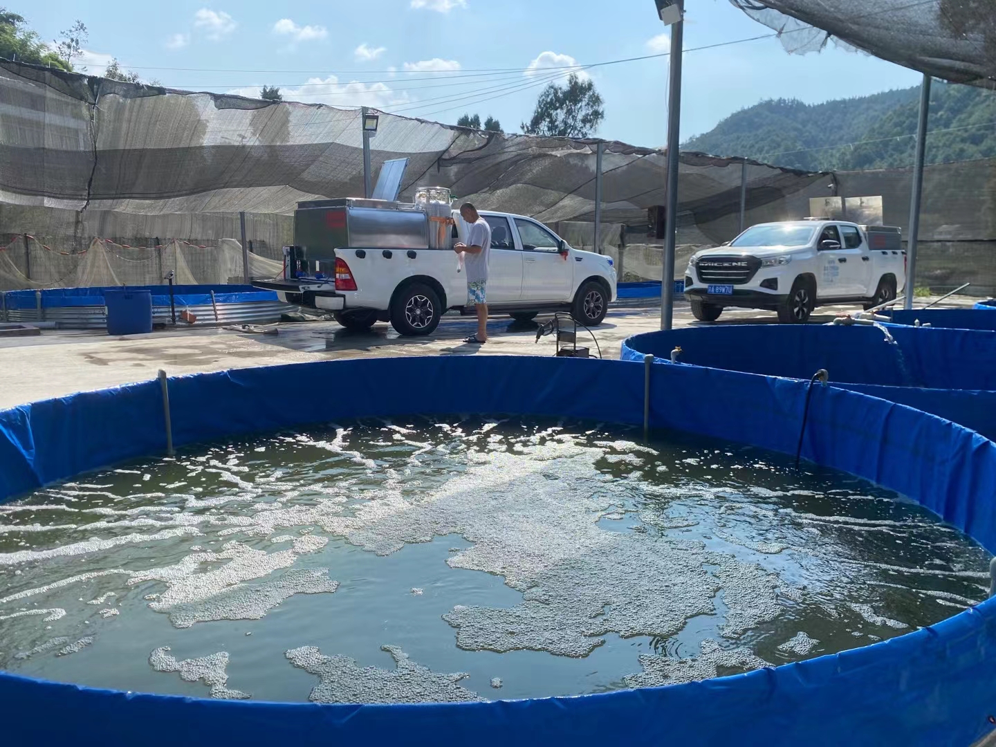 What pH does to fish and water — and how to adjust it