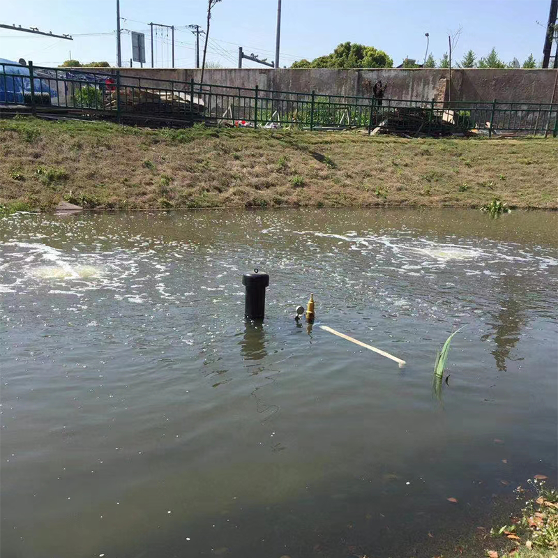 Pond Aeration System Installation Guide: Blower to Pond Bottom