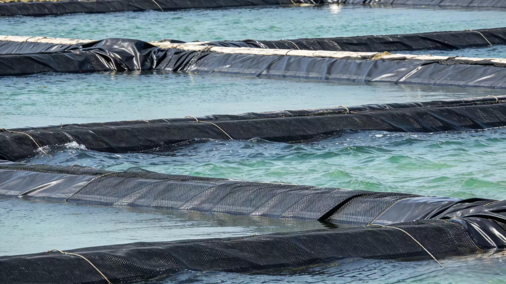 The Role of Roots Blowers in Wastewater Treatment