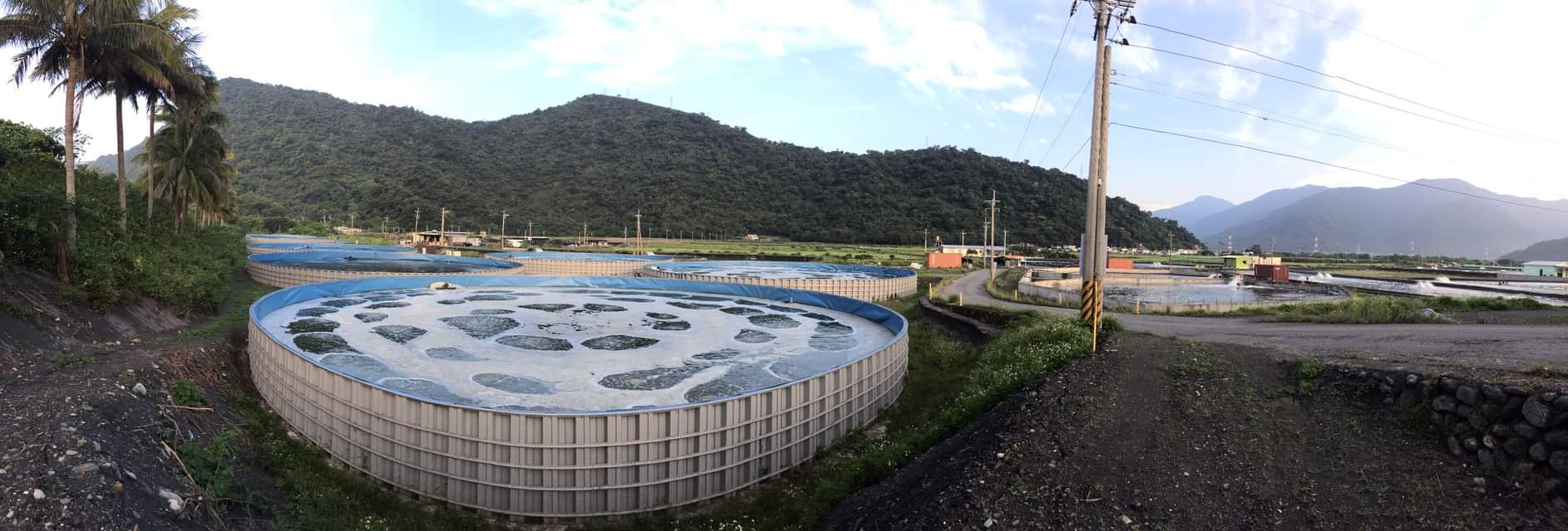How to Choose a Roots Blower for Aquaculture Aeration