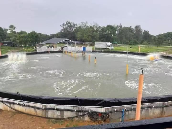 Aerators and Underwater Microporous Tube Aeration Technology for Farming Water Bodies