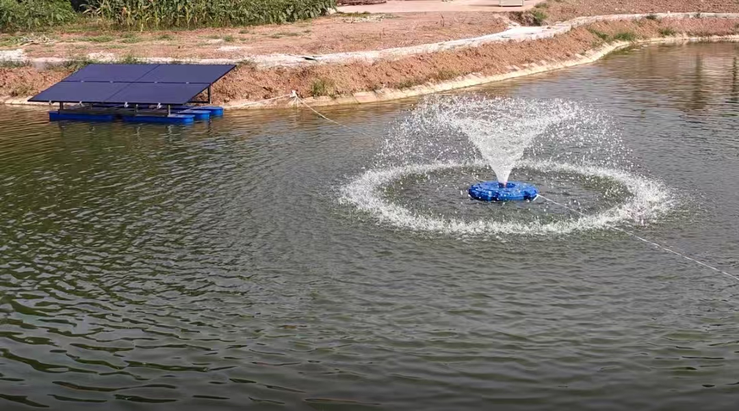 Managing Your Aquaculture Pond Through Severe Winter Weather
