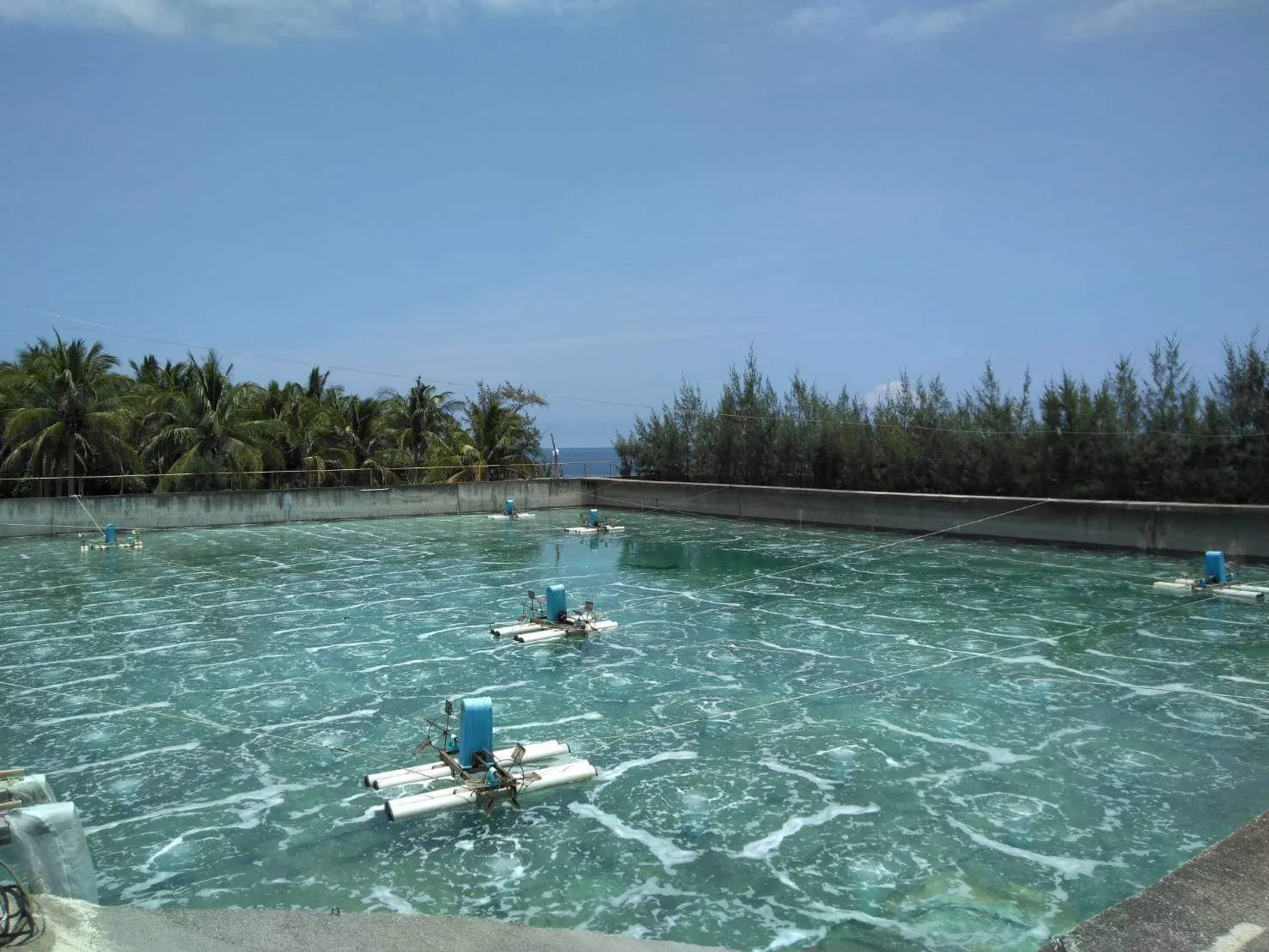 Aquaculture ponds — Zhongxin aeration system